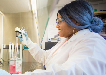 UF MSE NE Graduate School